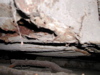 DSCN5284.JPG